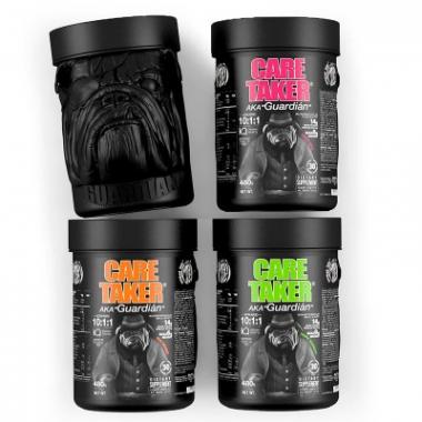 BCAA "CARE TAKER" ZOOMAD LABZ 10:1:1 30 порц. — изображение 2